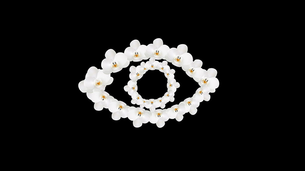 Backdrop for Orchid Eye