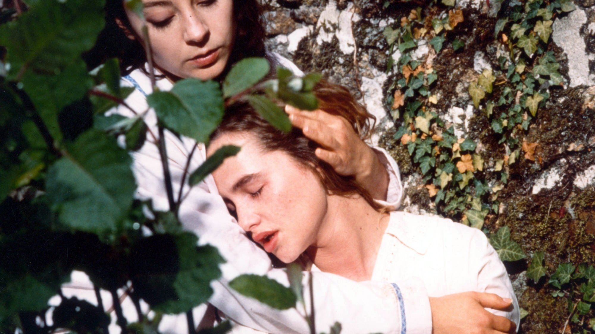 Backdrop for Céline