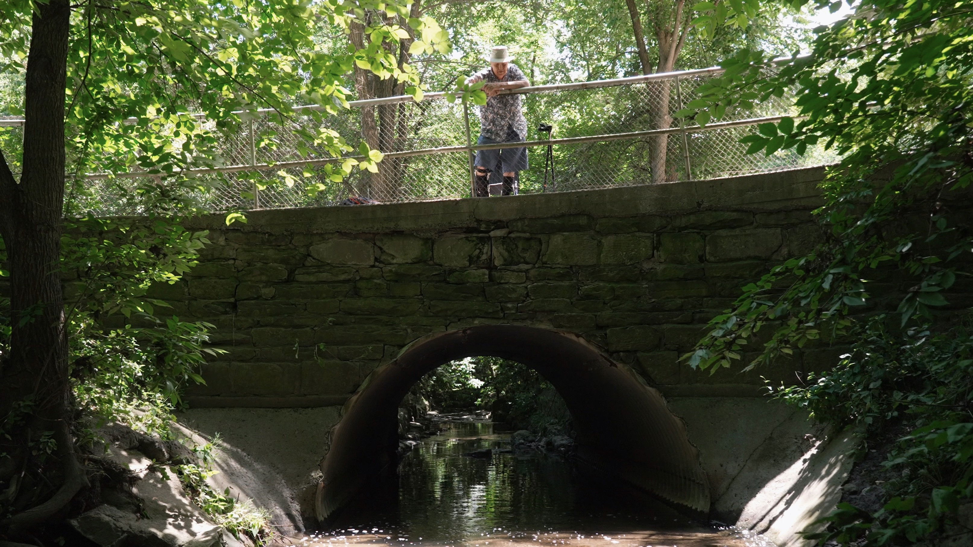 Backdrop for Sherwood Park