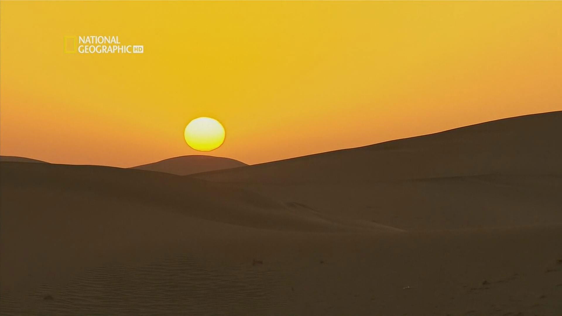 Backdrop for Lost in China