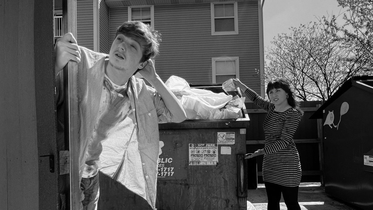 Backdrop for The Birth of a Kiwi