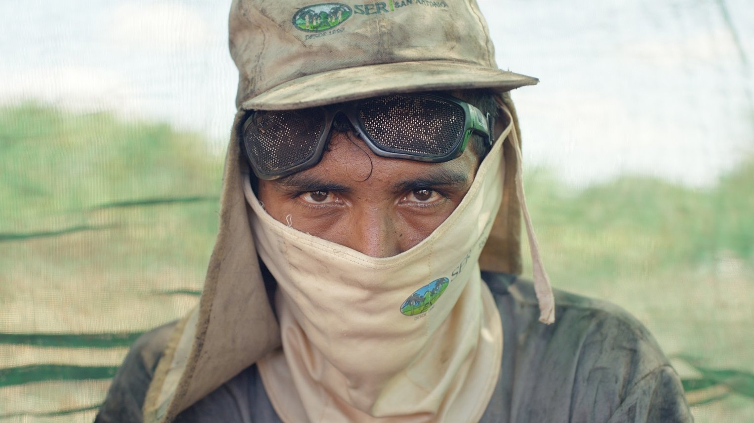 Backdrop for Trop chaud pour travailler