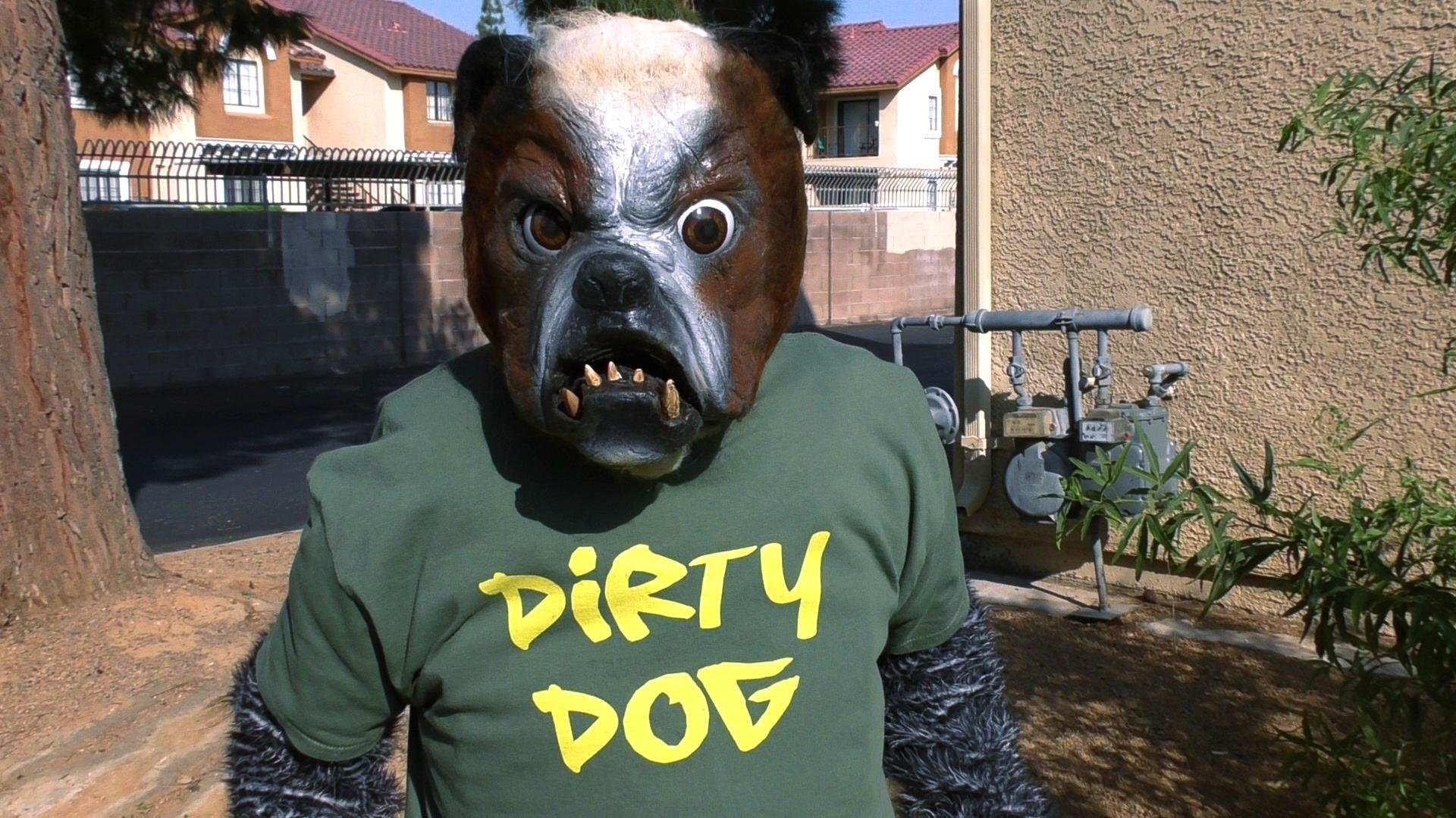 Backdrop for Cool Cat Fights Coronavirus