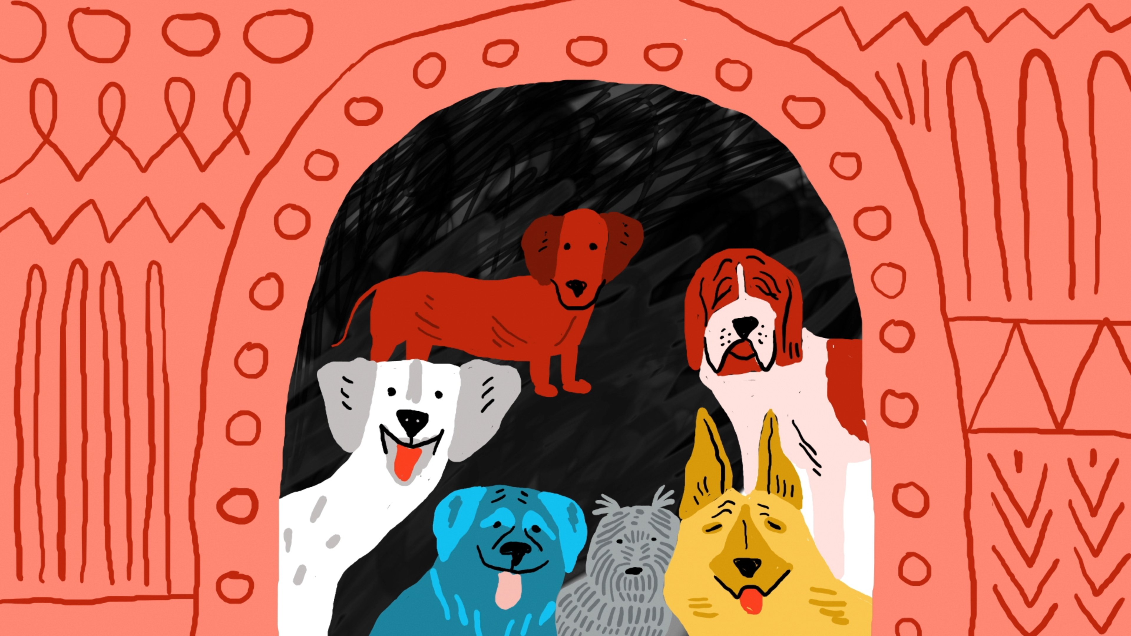 Backdrop for Life of a Mutt