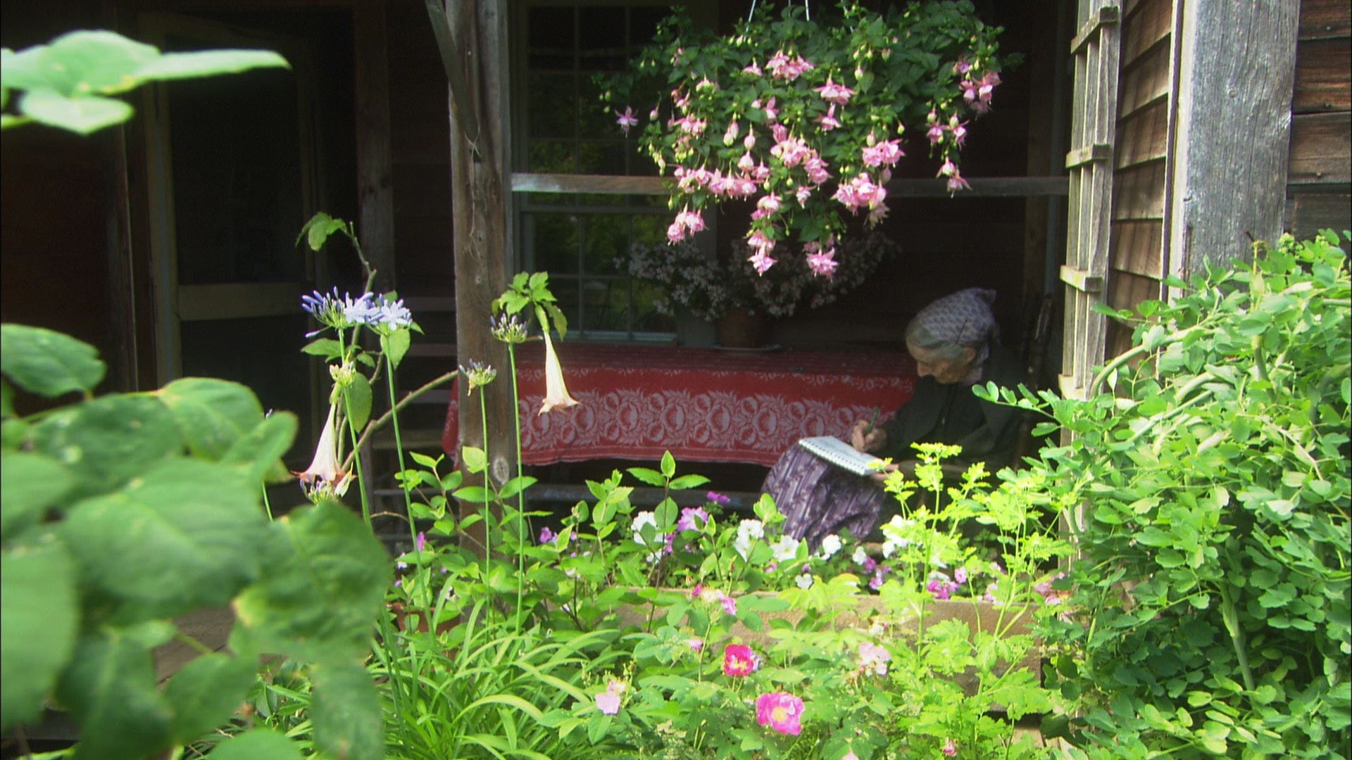Backdrop for Tasha Tudor: A Still Water Story