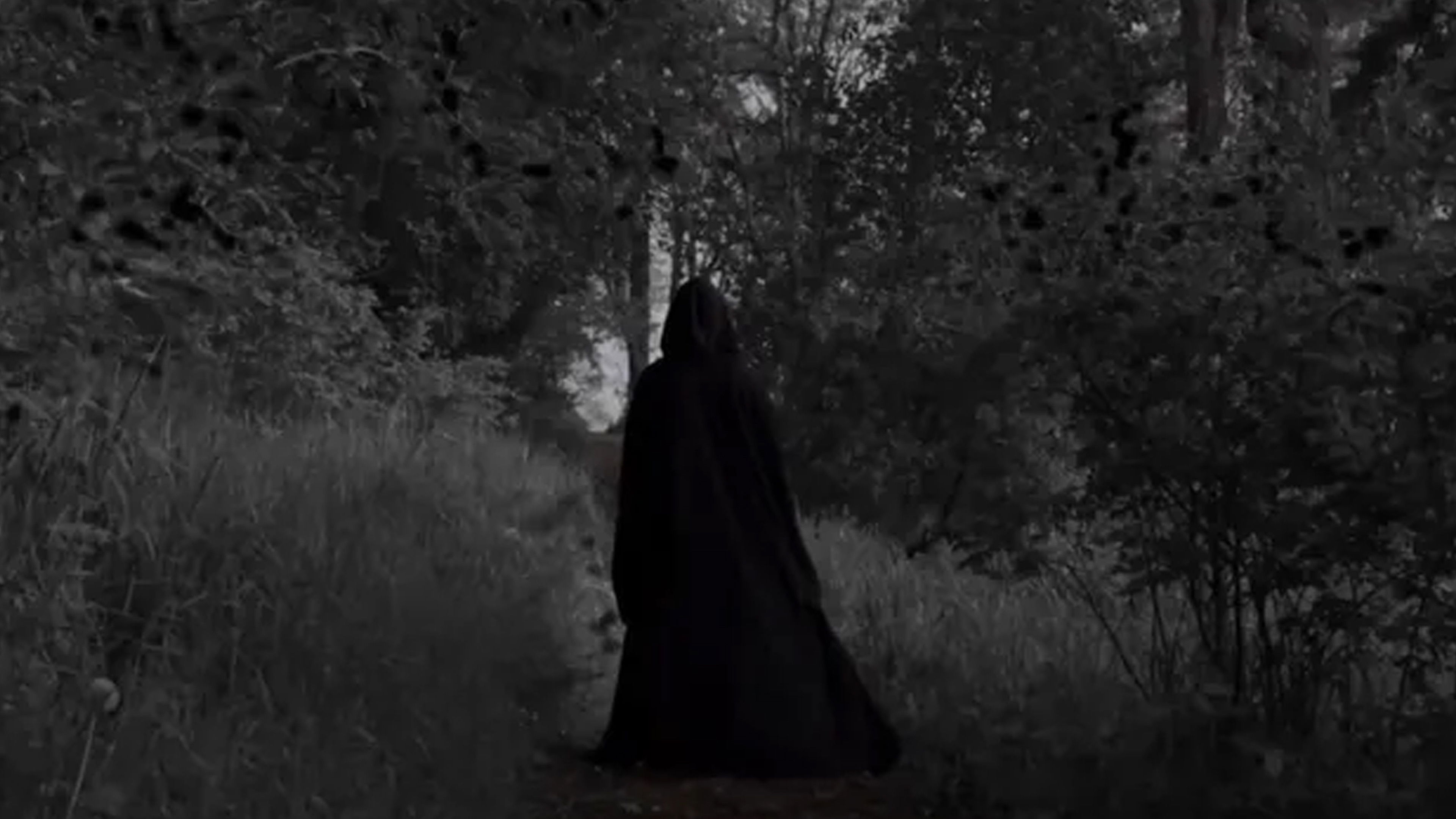 Backdrop for Sinu Pimedus