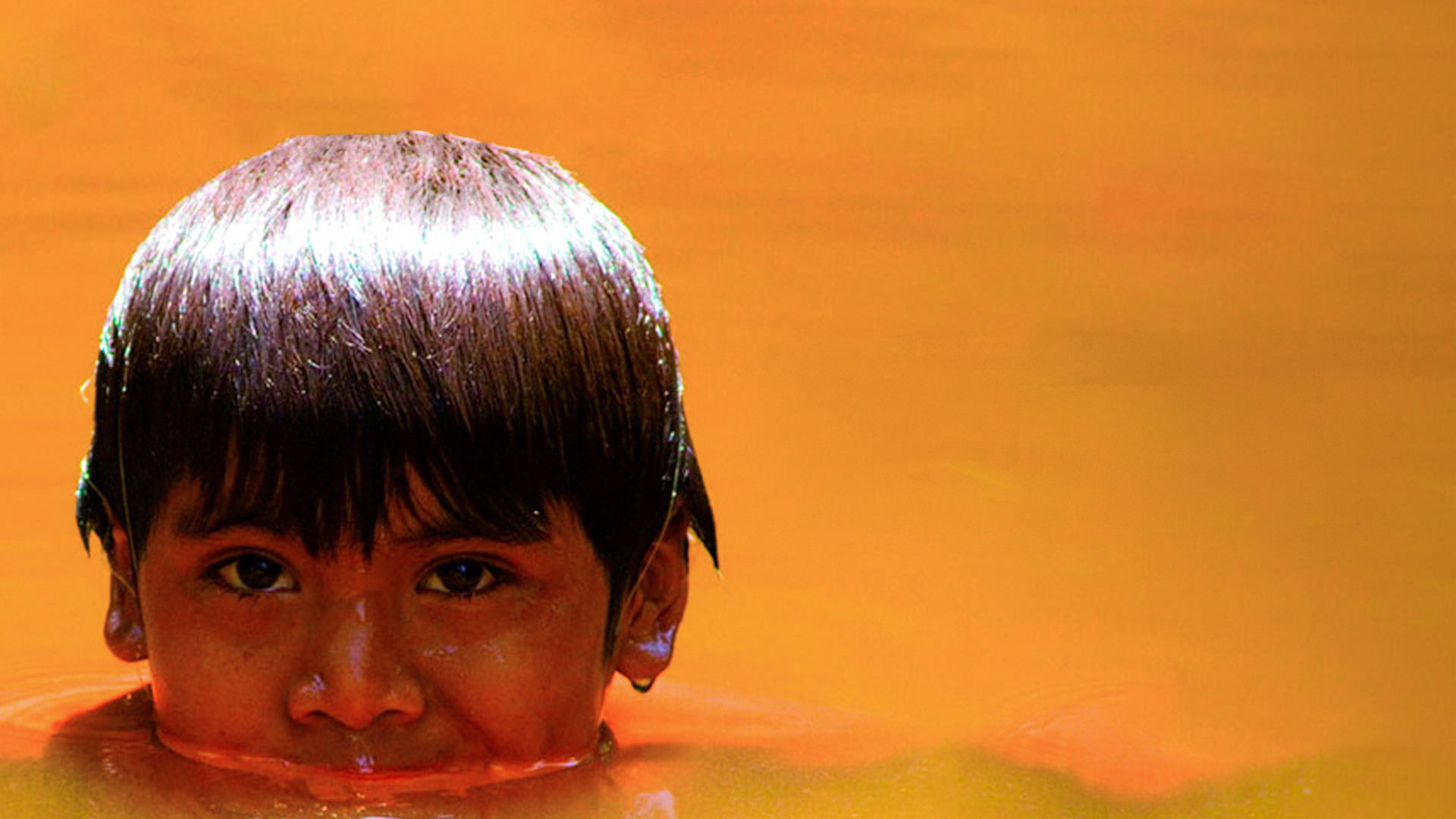 Backdrop for Apaporis: In Search of One River