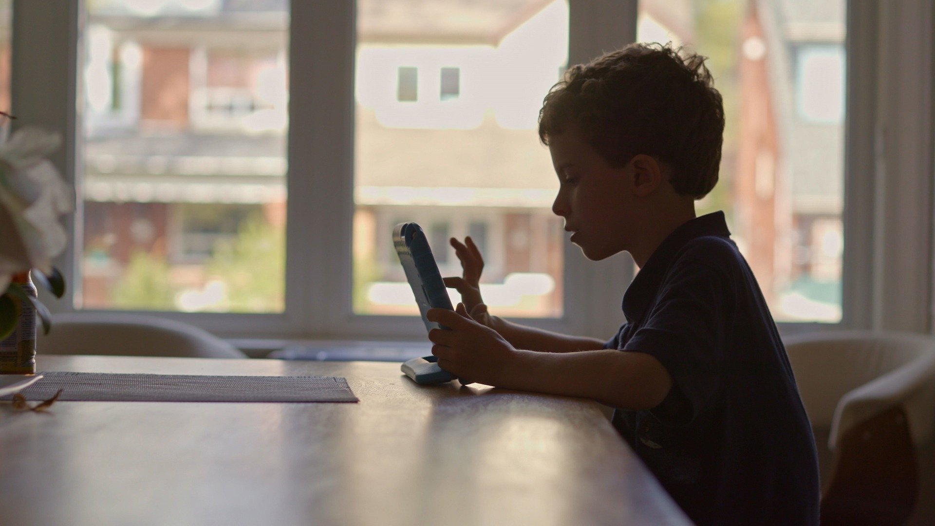 Backdrop for Screened Out