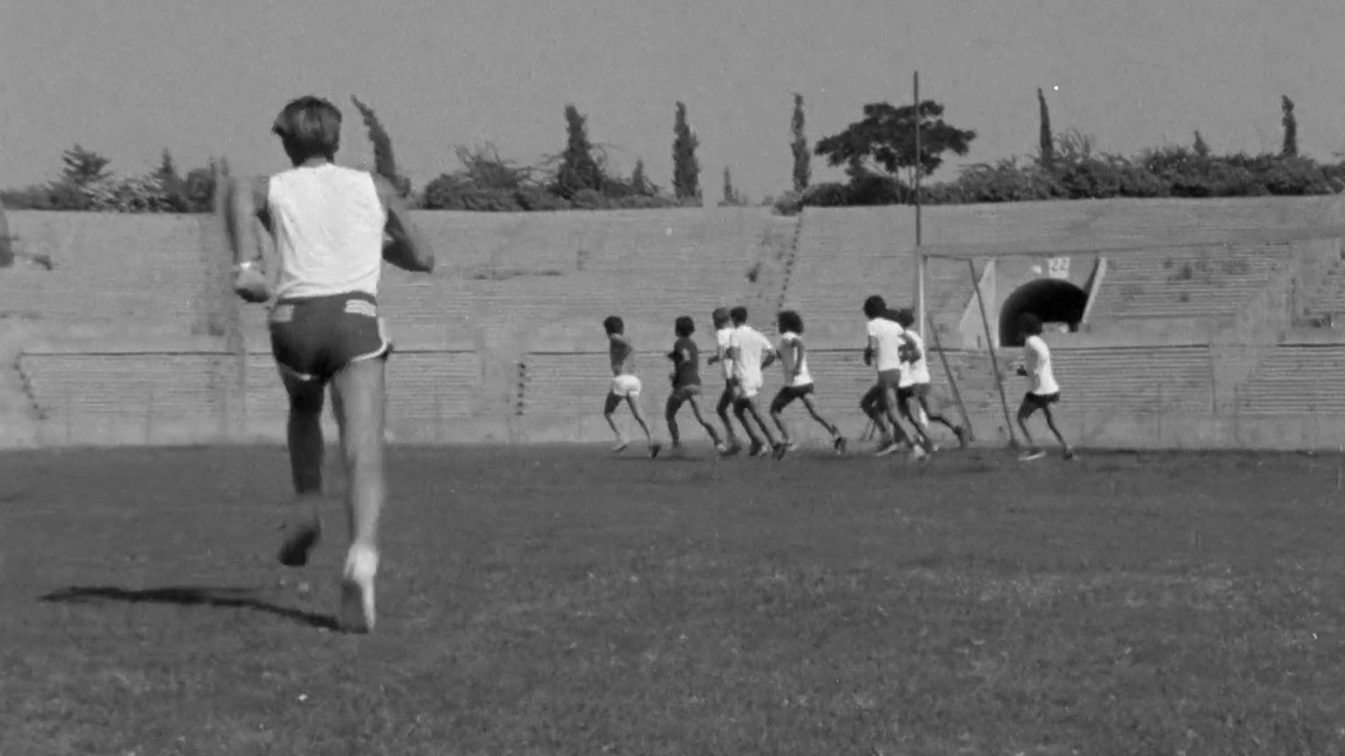 Backdrop for A Safe Place