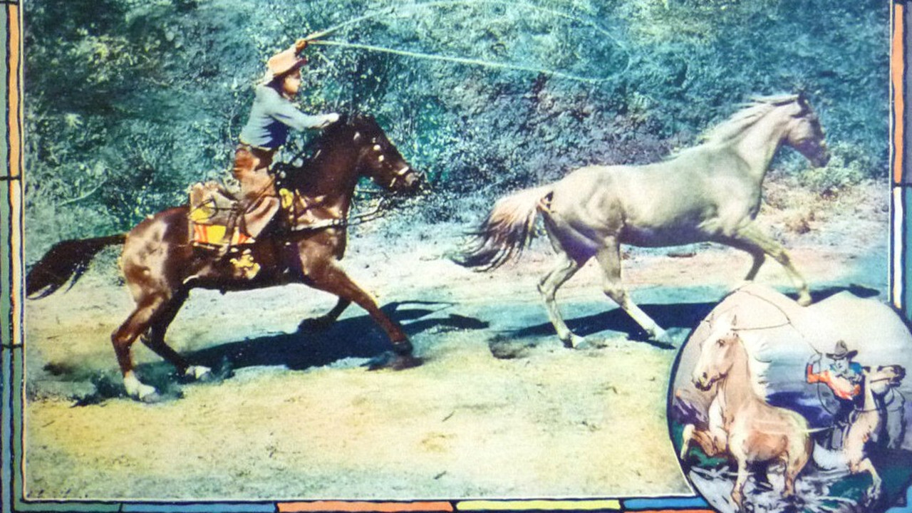 Backdrop for The Long, Long Trail