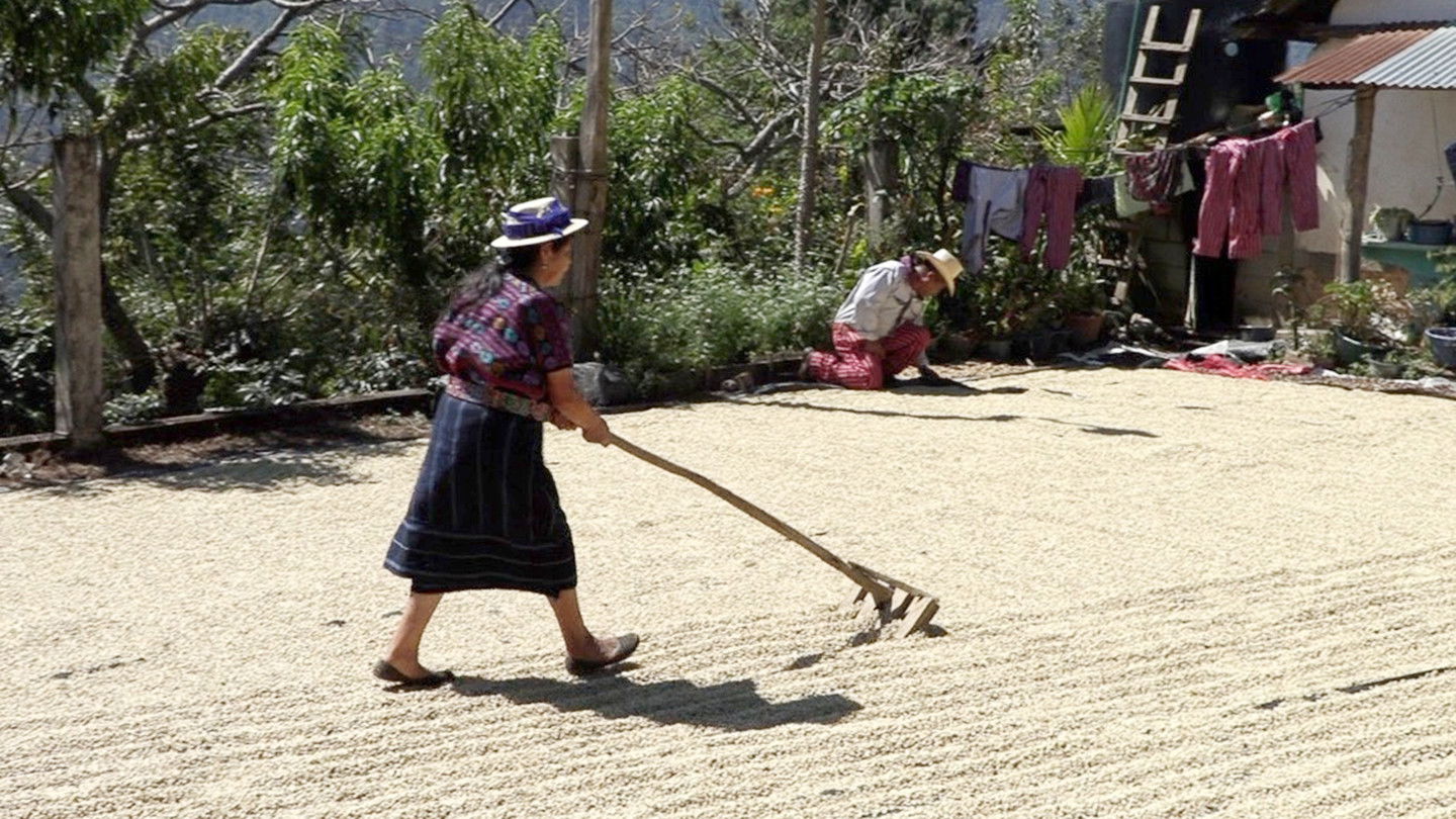 Backdrop for Ein Duft Von Freiheit