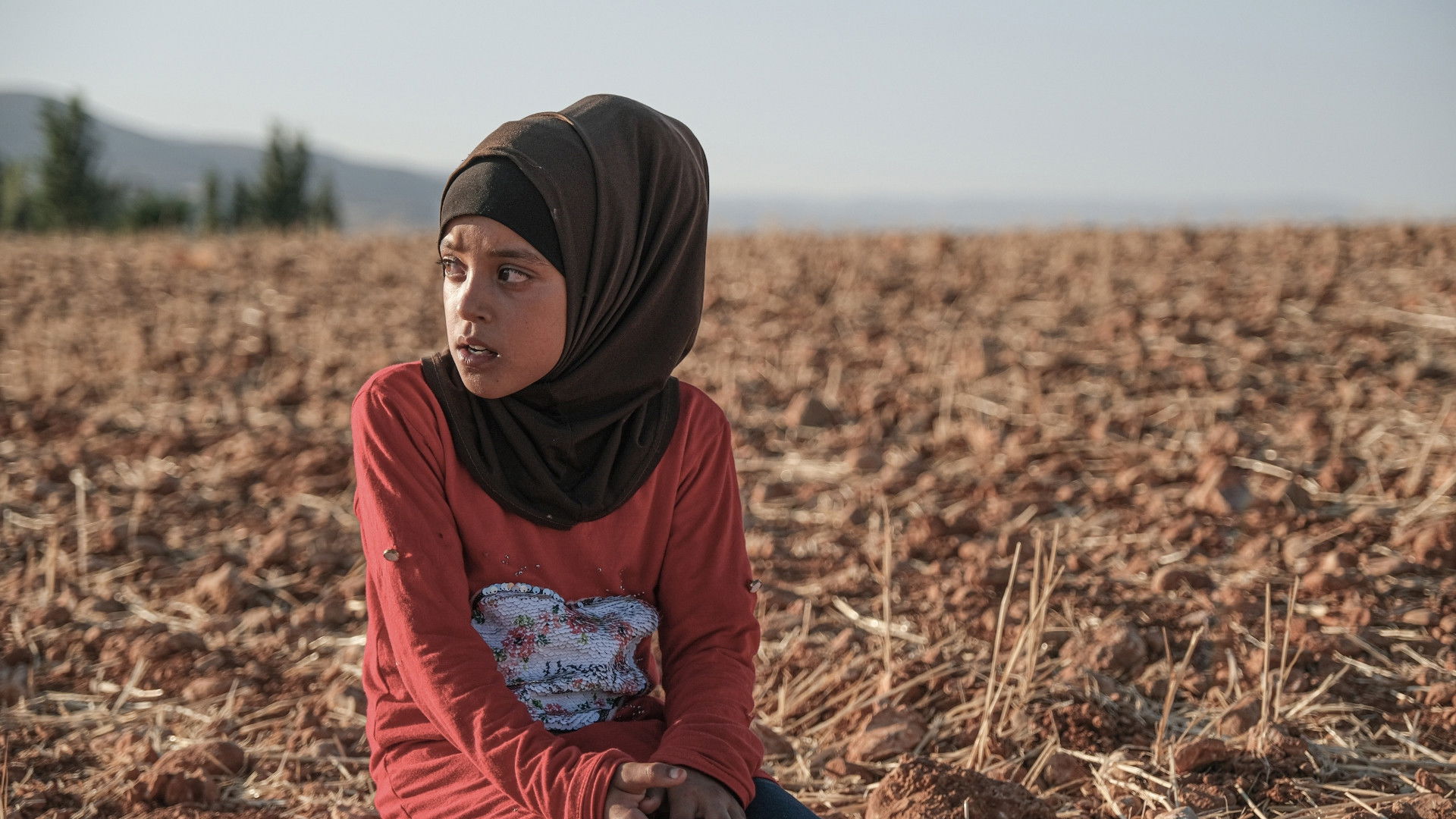 Backdrop for Edge of the Valley