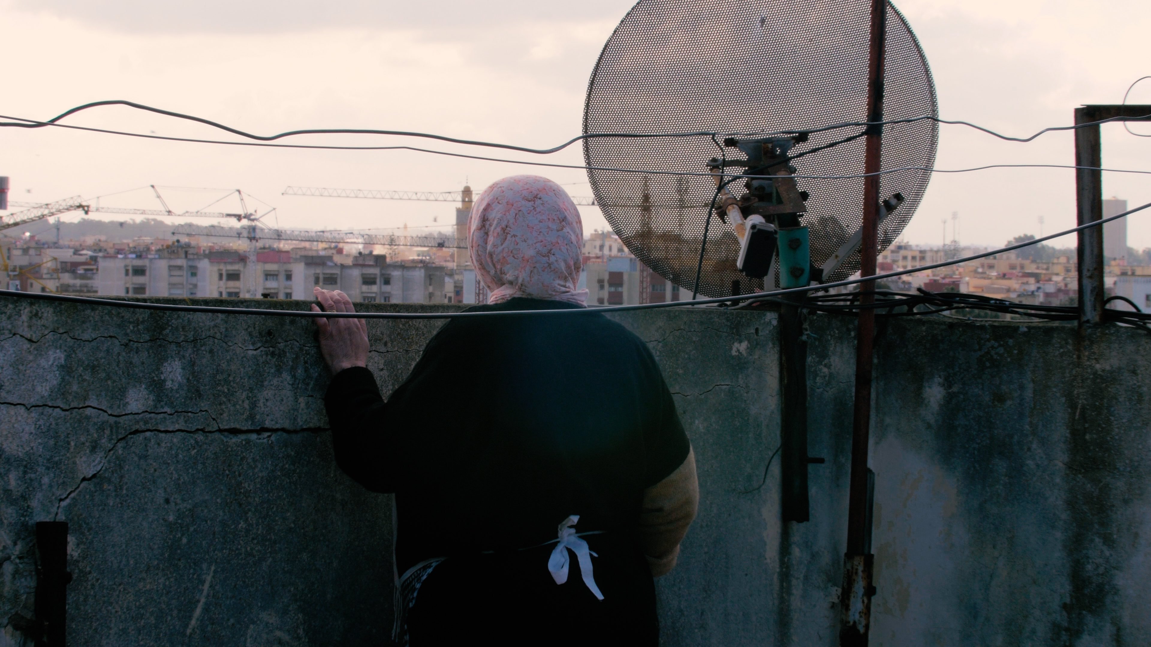 Backdrop for The Mother of All Lies