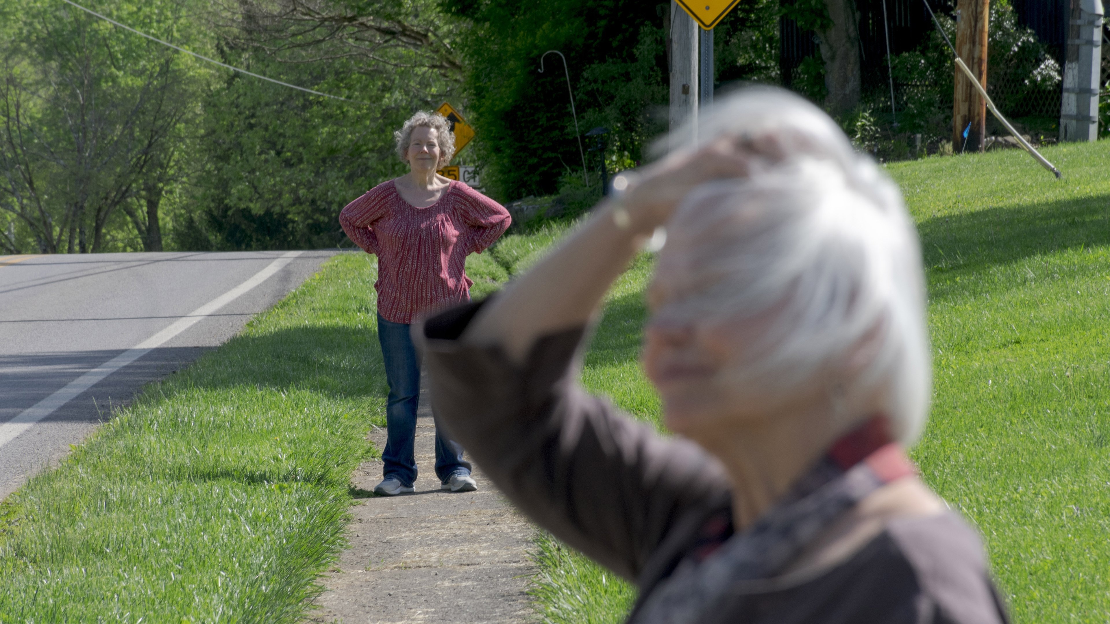 Backdrop for Reunion