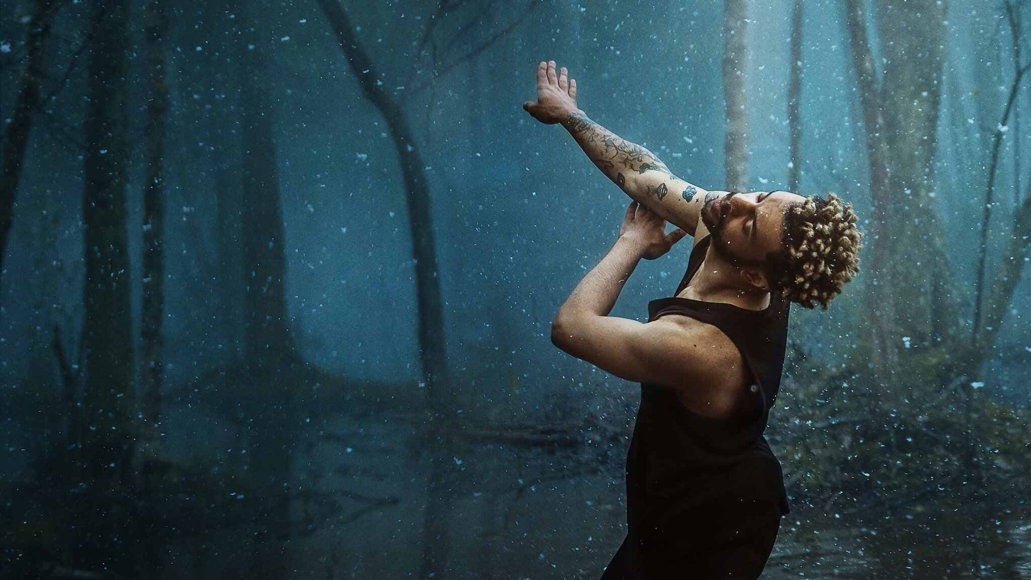 Backdrop for Dance Brothers