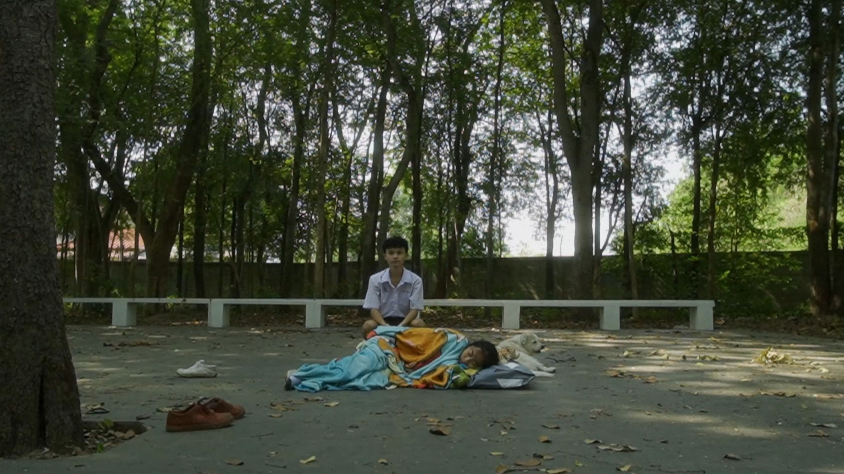 Backdrop for Revenge of the fried egg