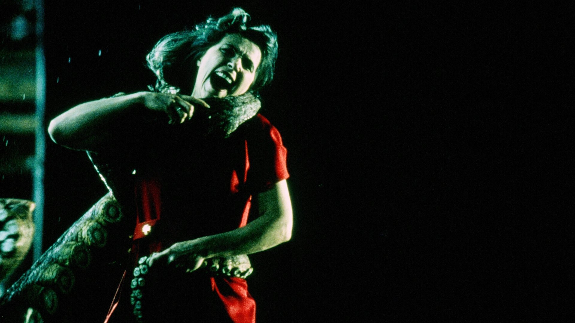 Backdrop for Octopus 2: River of Fear