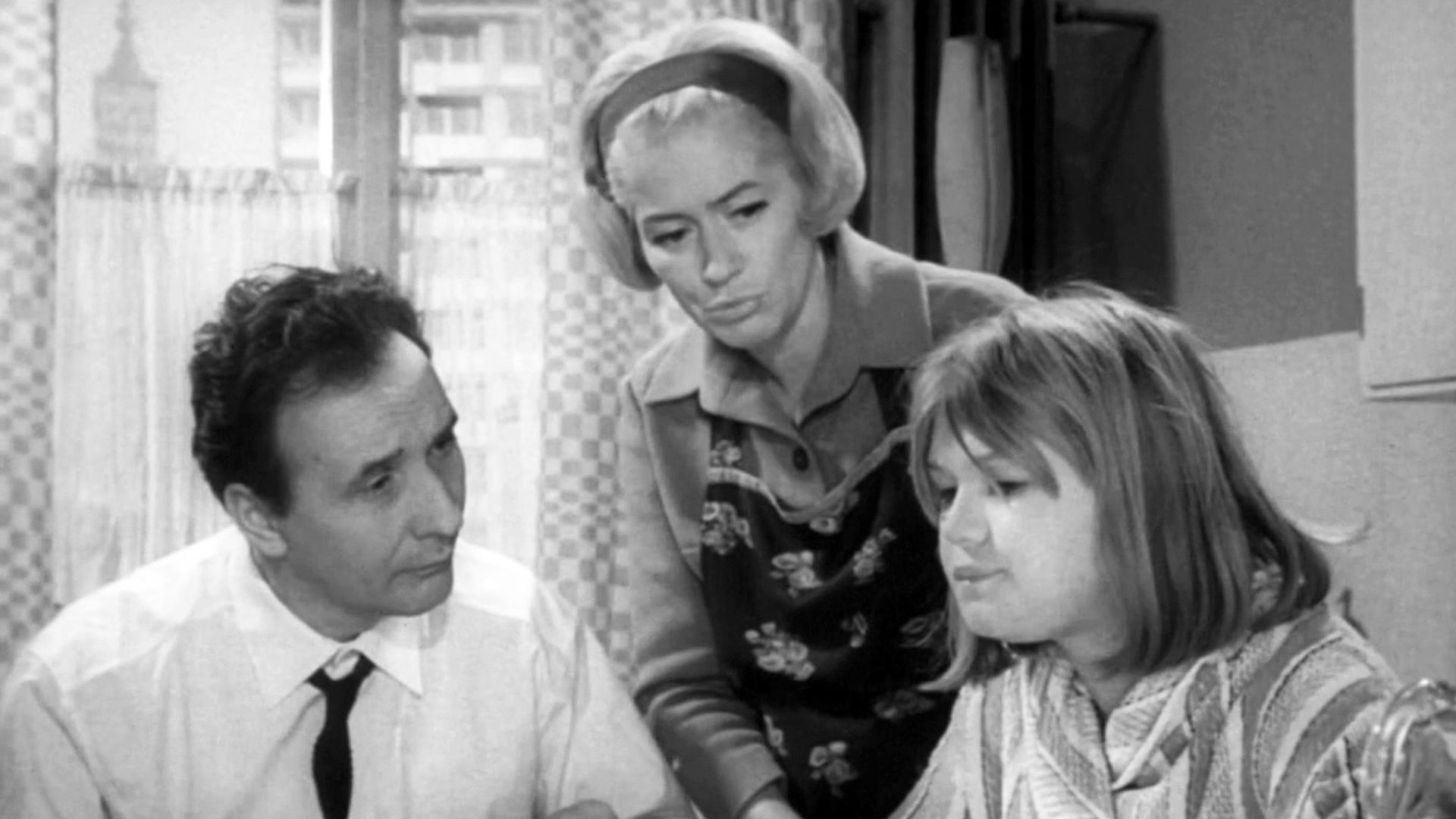 Backdrop for Wojna domowa