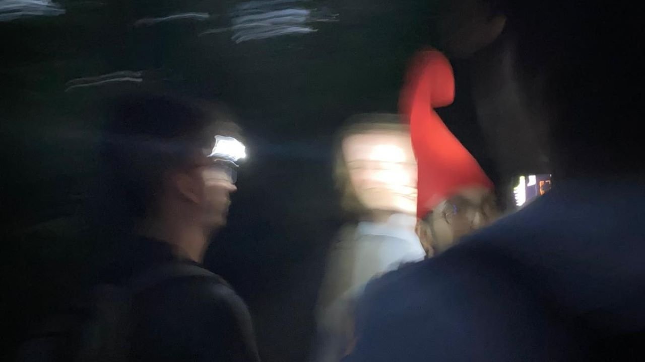 Backdrop for Gnome Hunting Found Footage