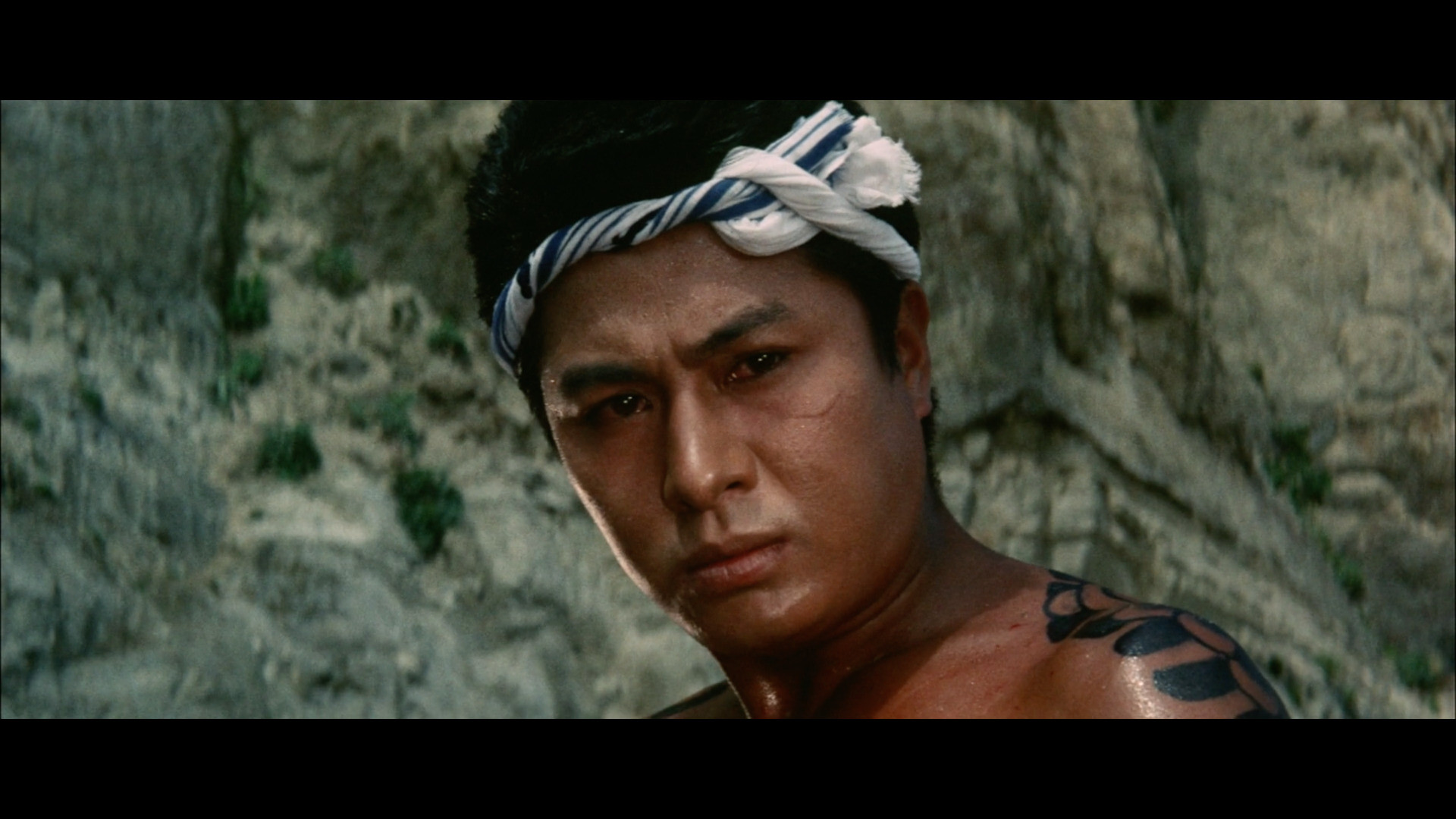 Backdrop for Rampaging Dragon of the North