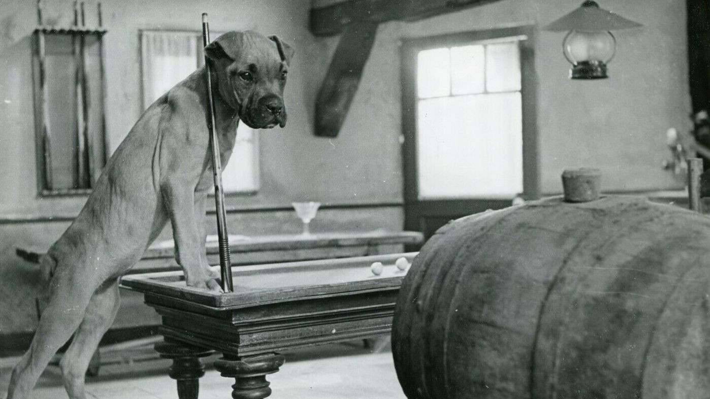 Backdrop for The Secret of Magic Island