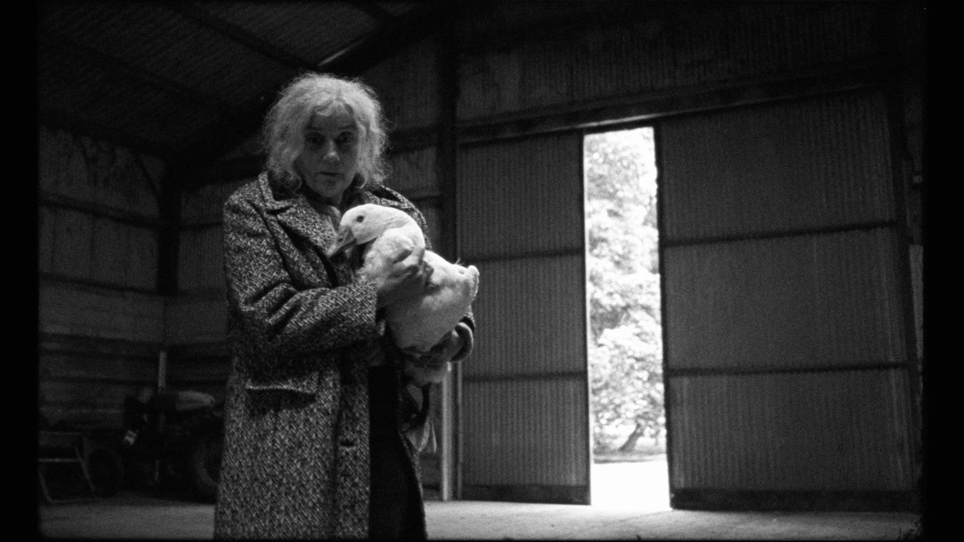 Backdrop for Mother Goose