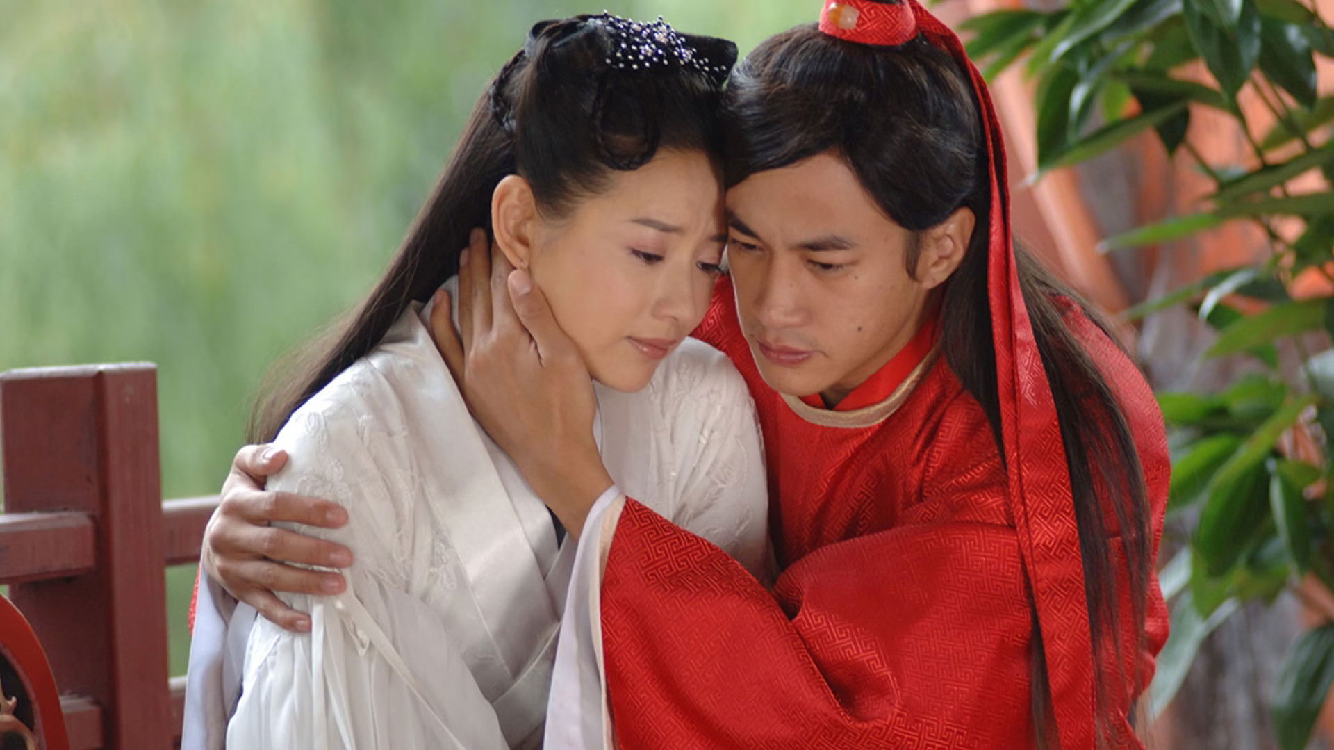 Backdrop for Butterfly Lovers