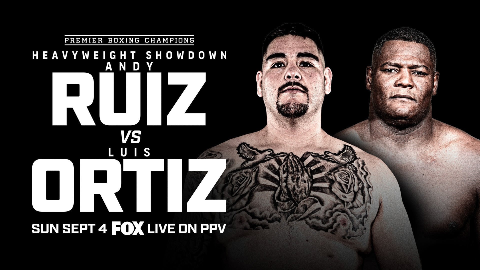 Backdrop for Andy Ruiz Jr. vs. Luis Ortiz