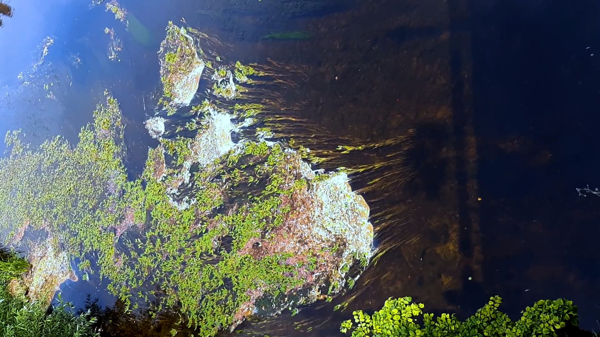 Backdrop for Between the valleys, between the hills. In the footsteps of the future sound of Slovakia.