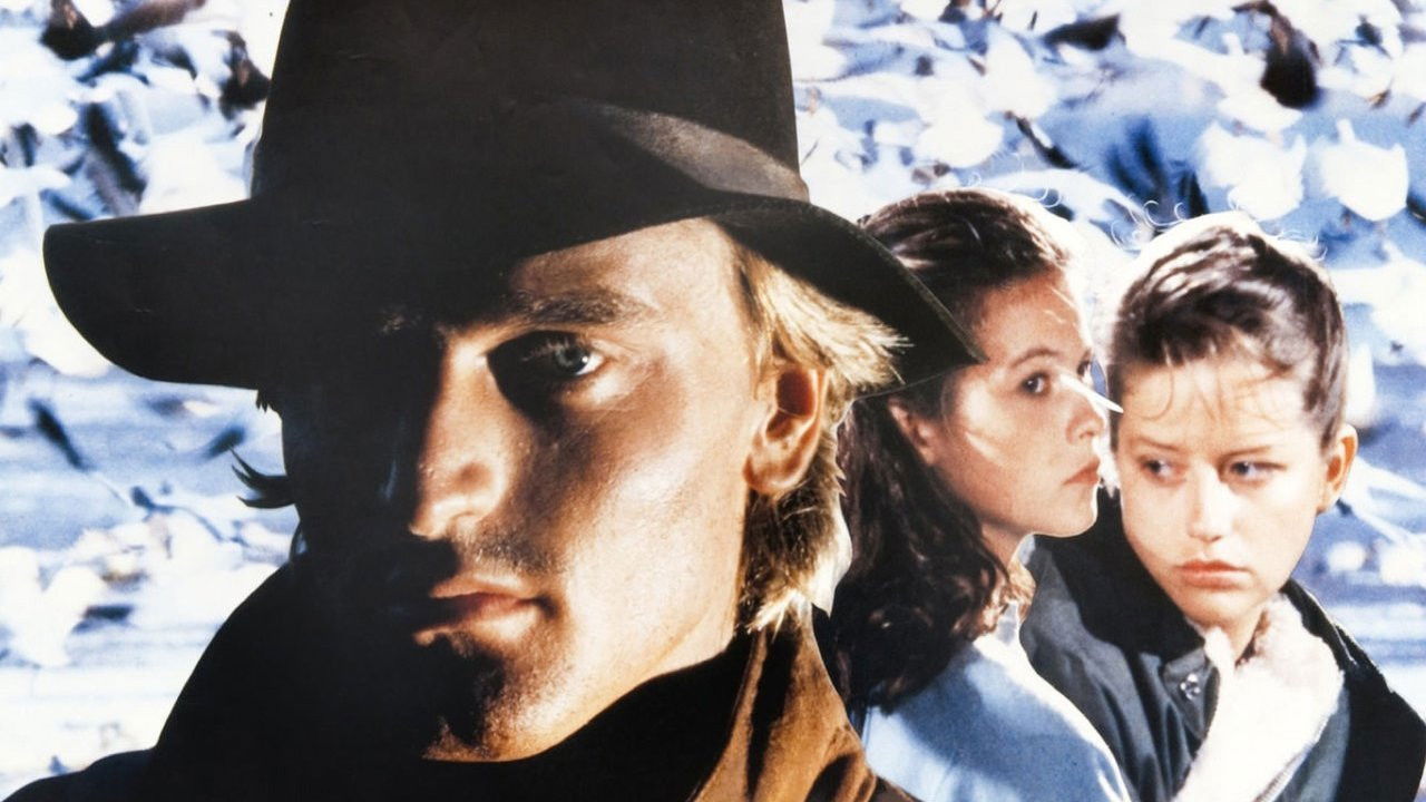 Backdrop for In the Shadow of the Wind