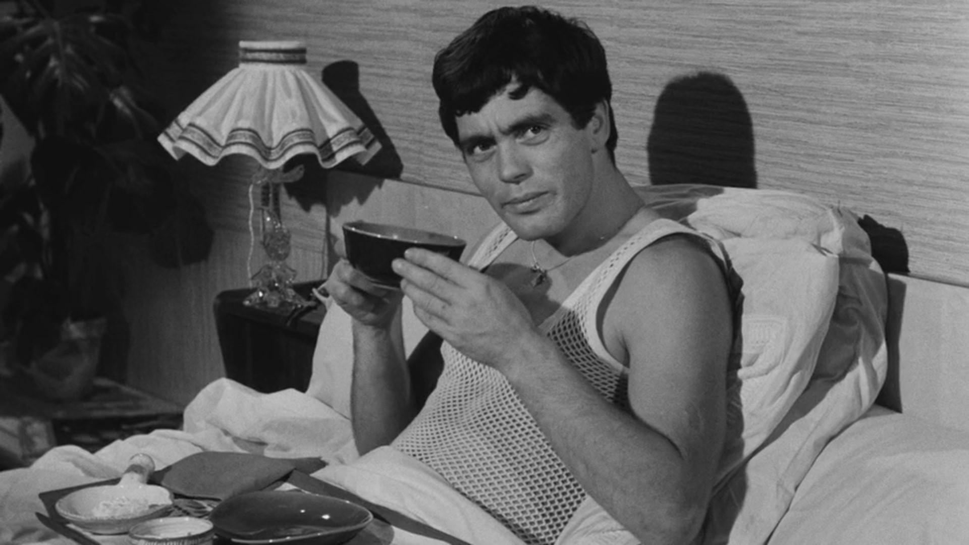 Backdrop for Chicken Feed for Little Birds