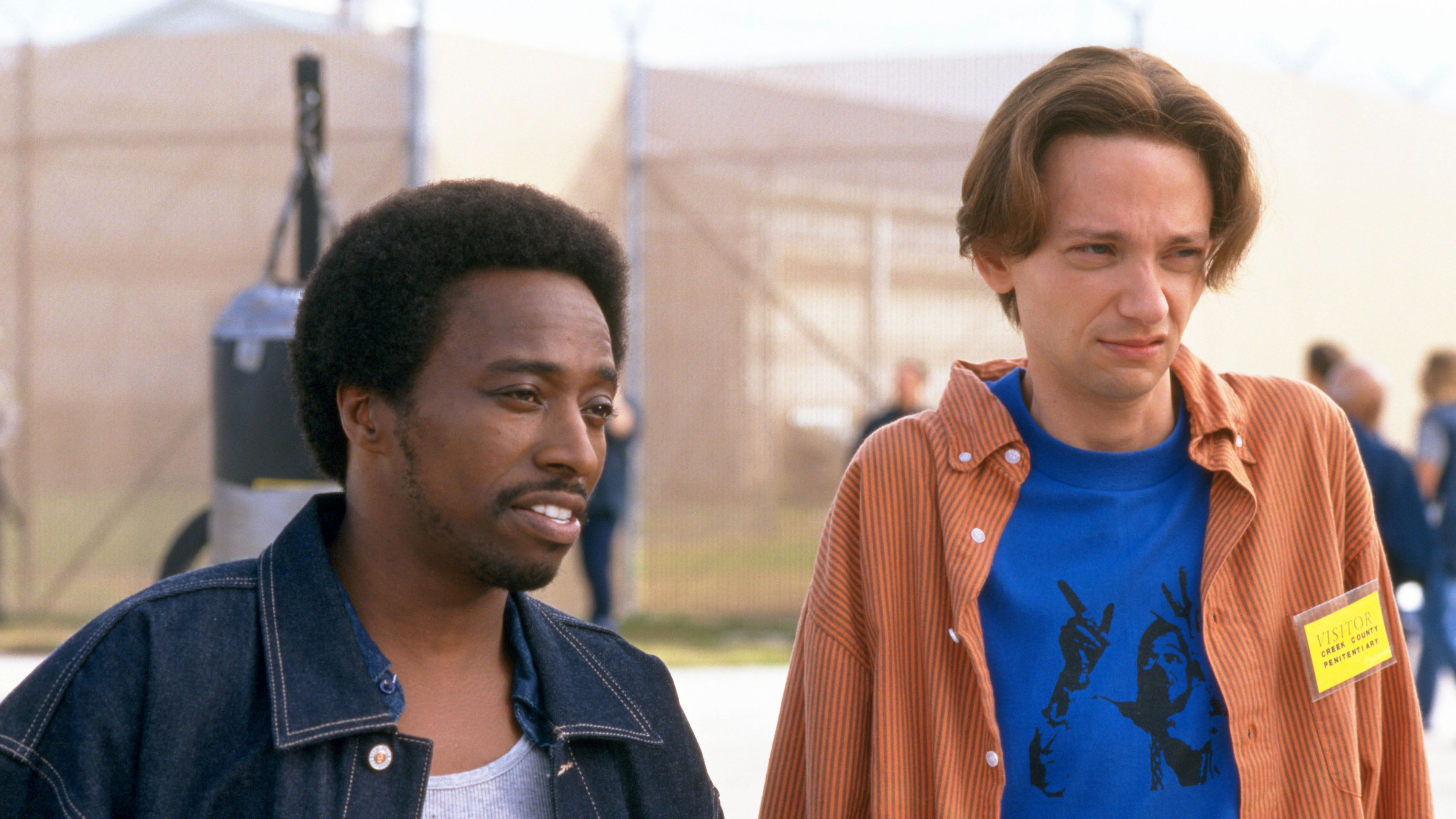 Backdrop for The New Guy