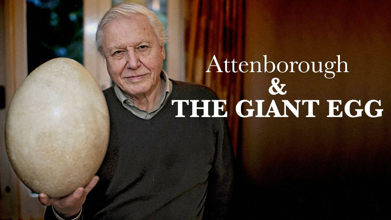 Backdrop for Attenborough and the Giant Egg
