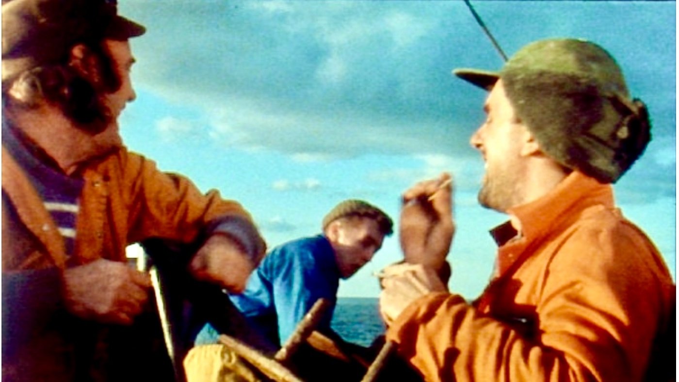 Backdrop for In Fading Light