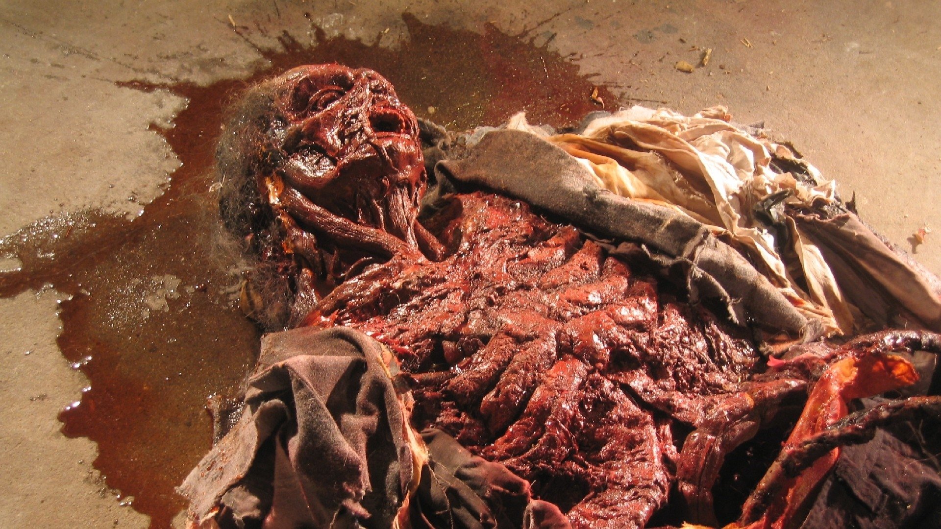 Backdrop for Cryptic Plasm