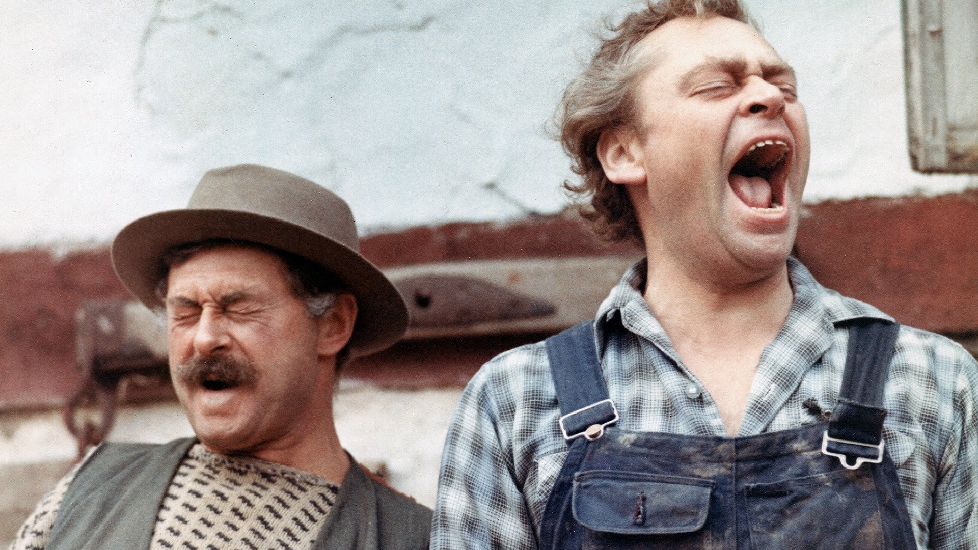 Backdrop for Me and My Kid Brother