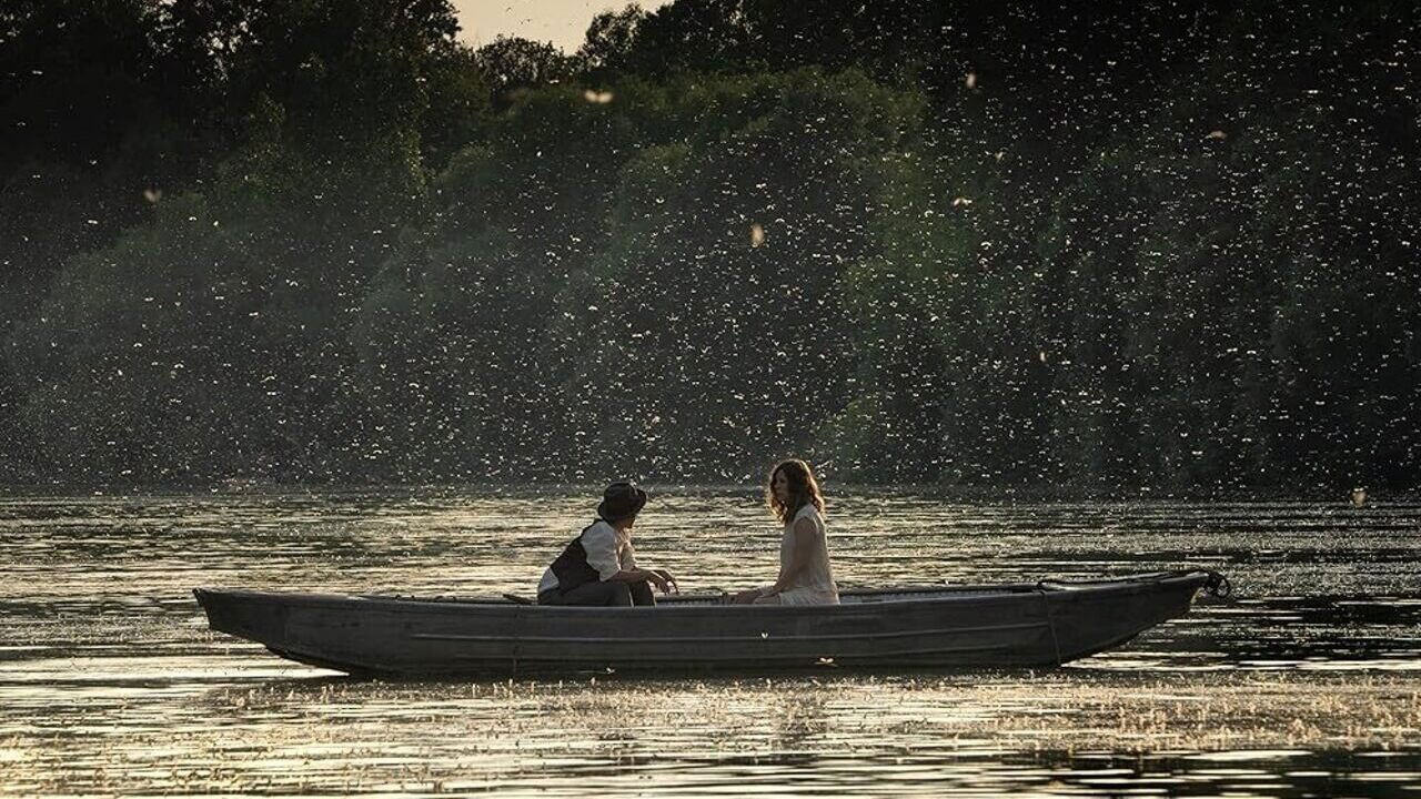 Backdrop for Mayflies