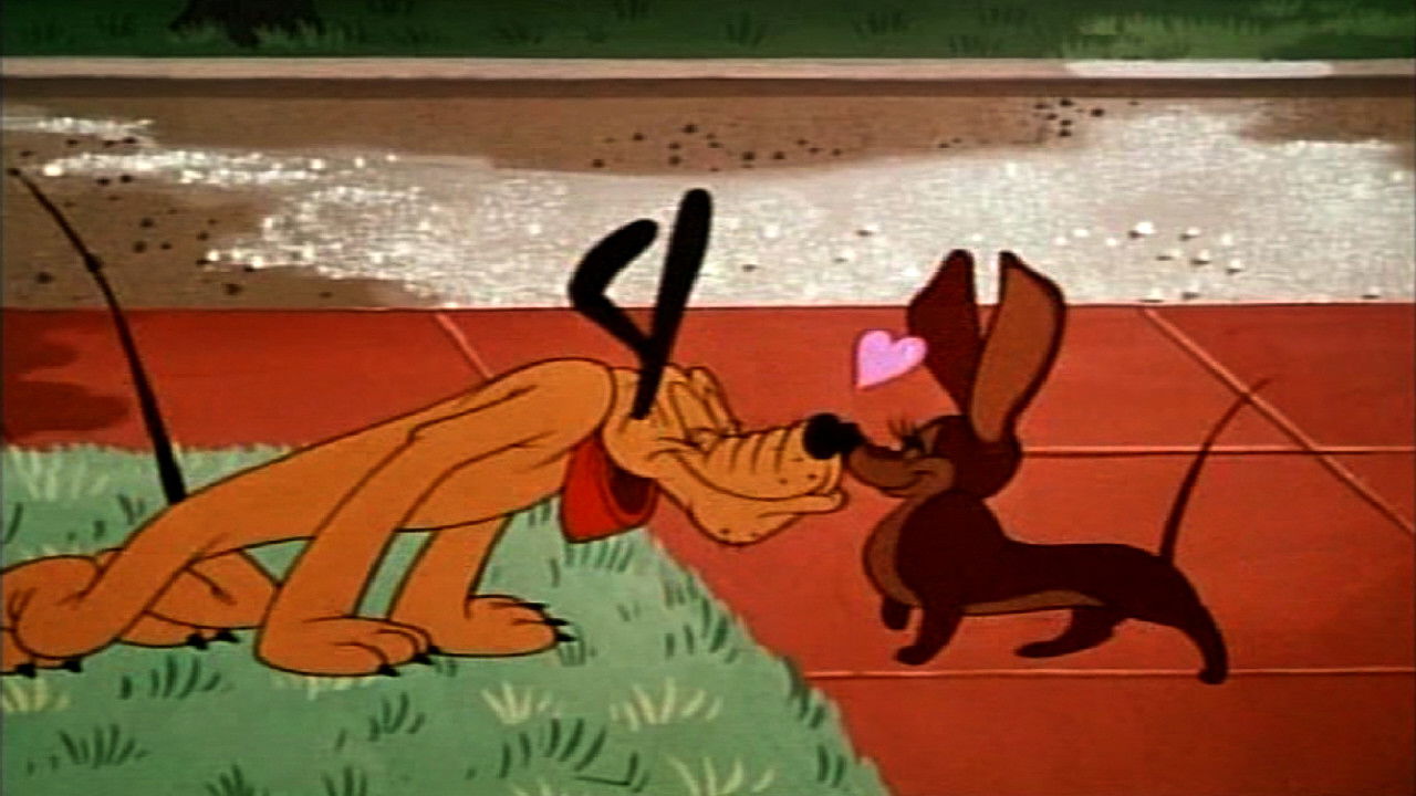 Backdrop for Schmetterlinge im Bauch - Eine Sammlung der schönsten Liebesgeschichten