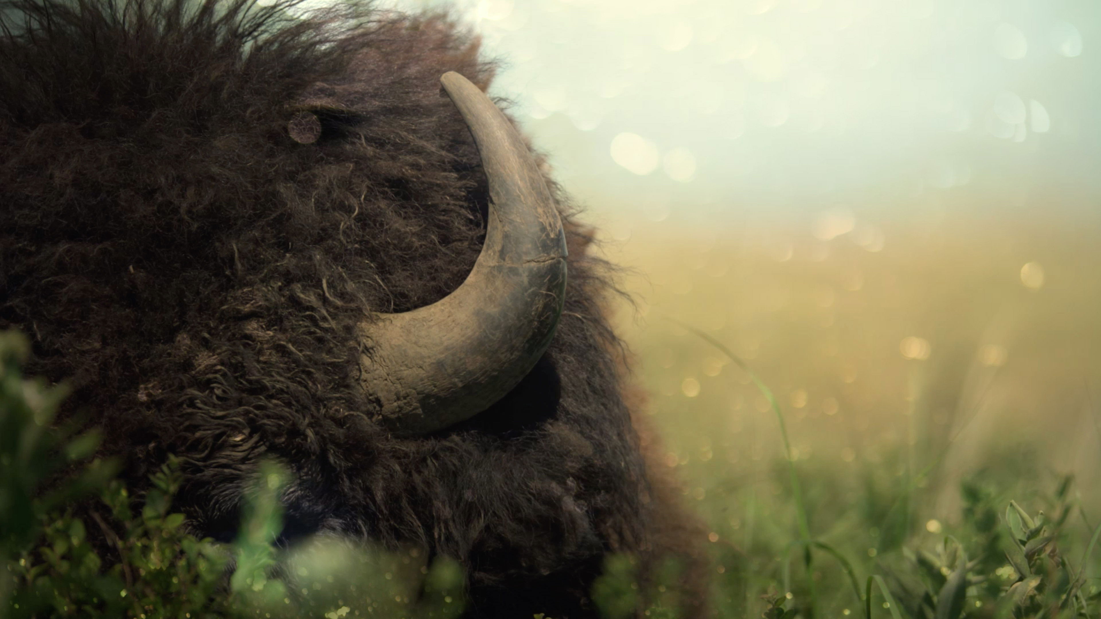 Backdrop for Phainesthai