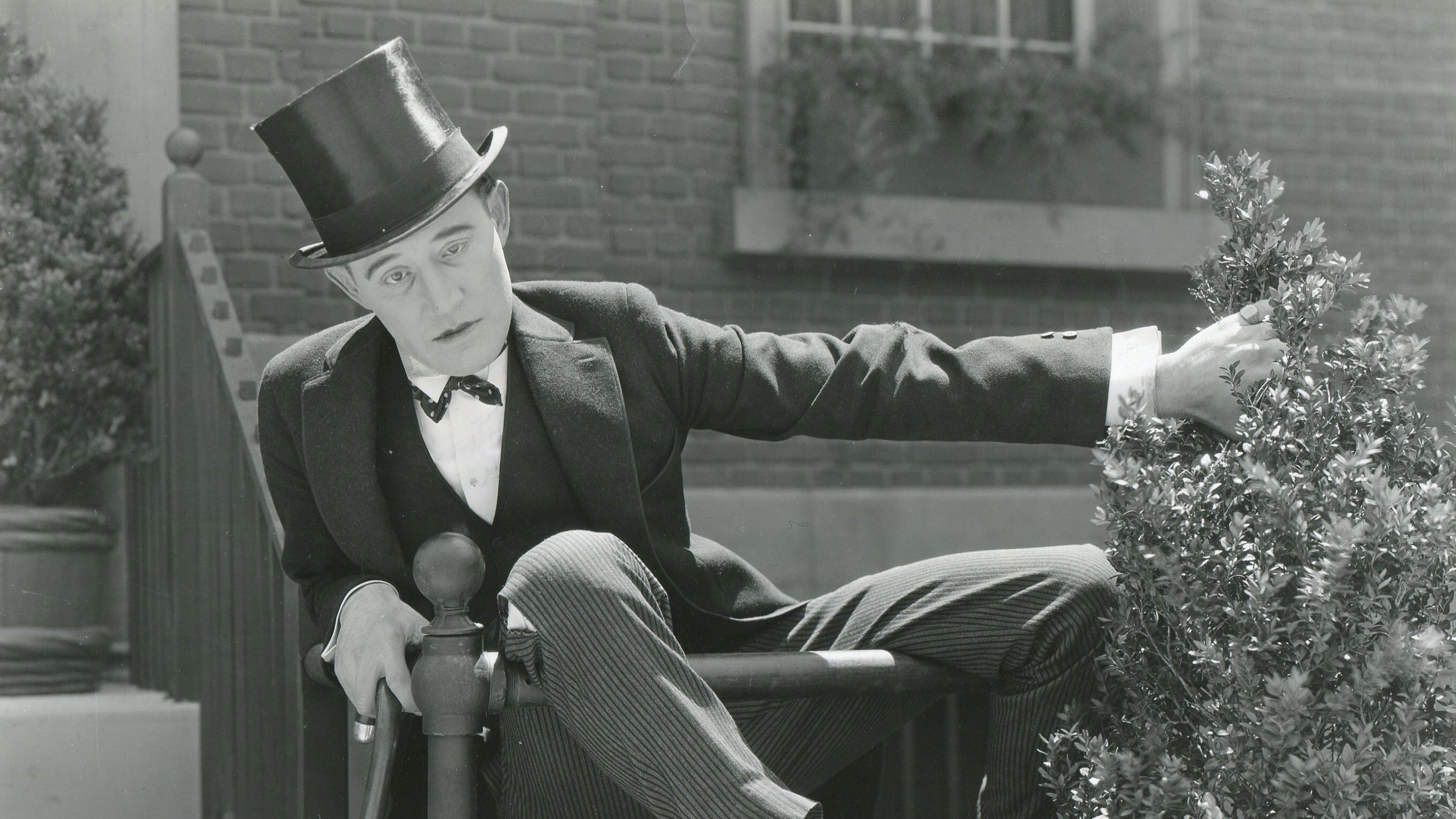 Backdrop for The Glorious Fool