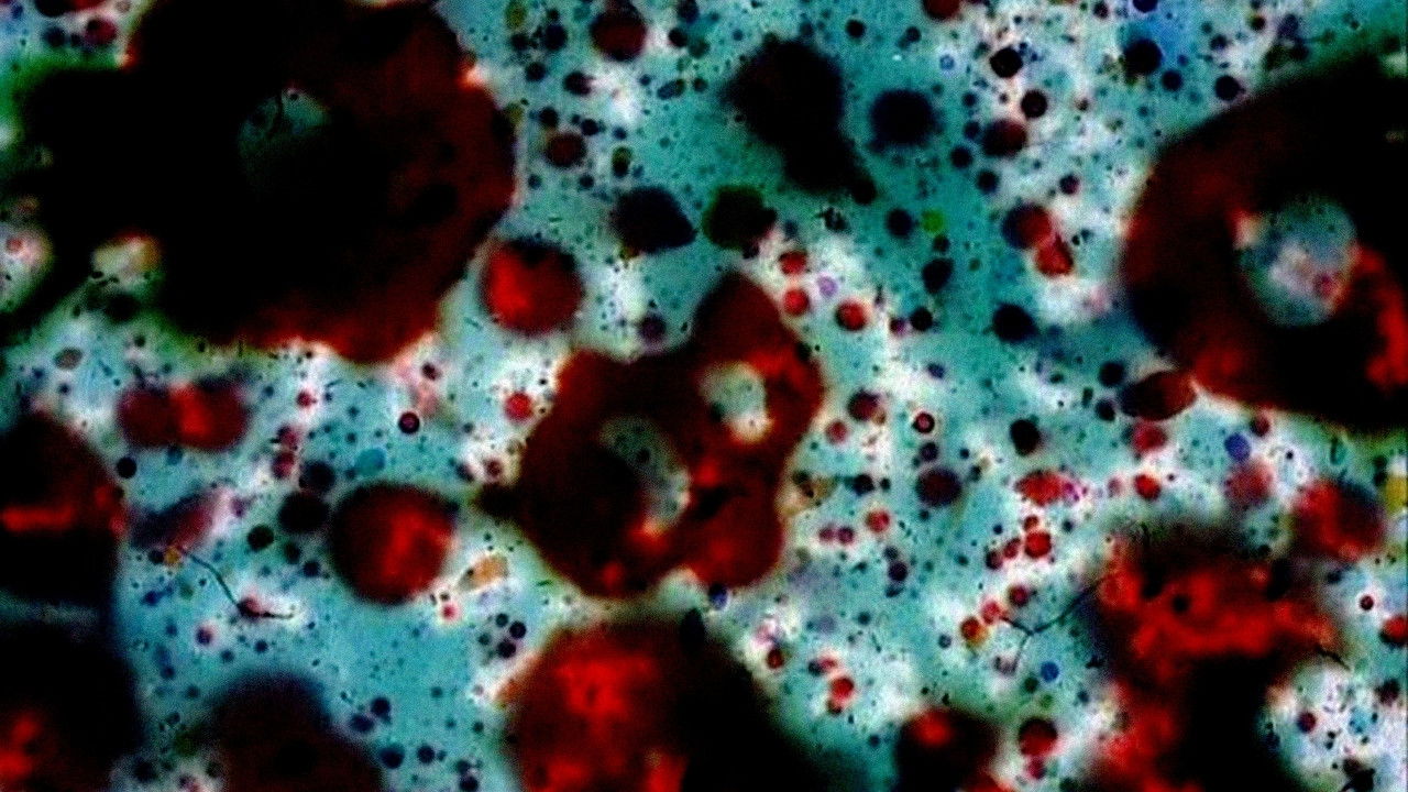 Backdrop for … ere erera baleibu izik subua aruaren…