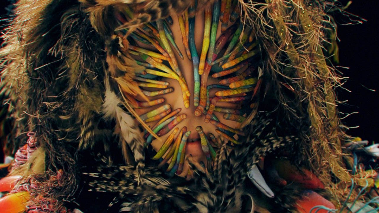 Backdrop for Solipsist