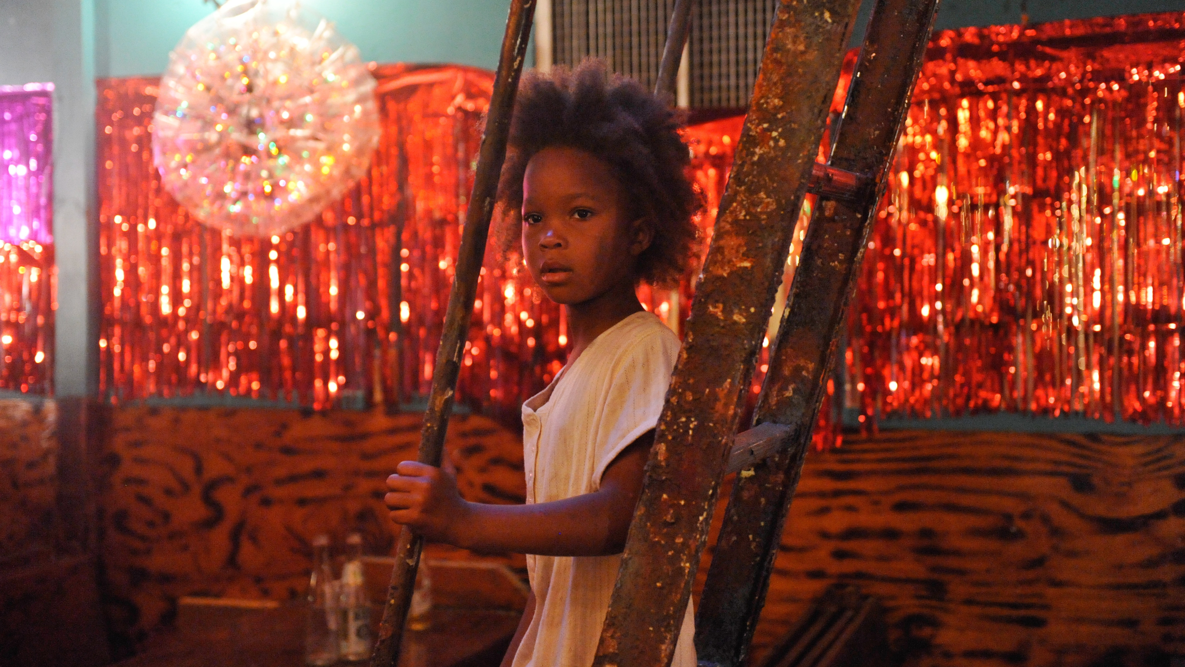 Backdrop for Beasts of the Southern Wild