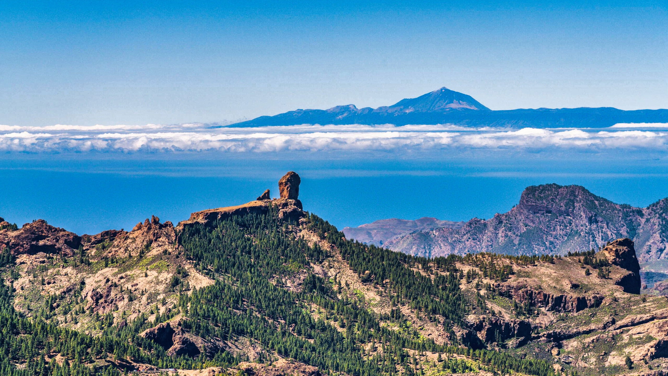 Backdrop for Senderos isleños