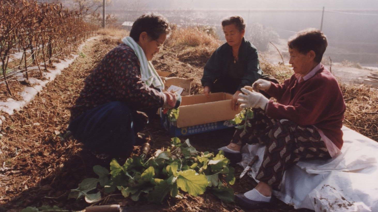 Backdrop for Habitual Sadness