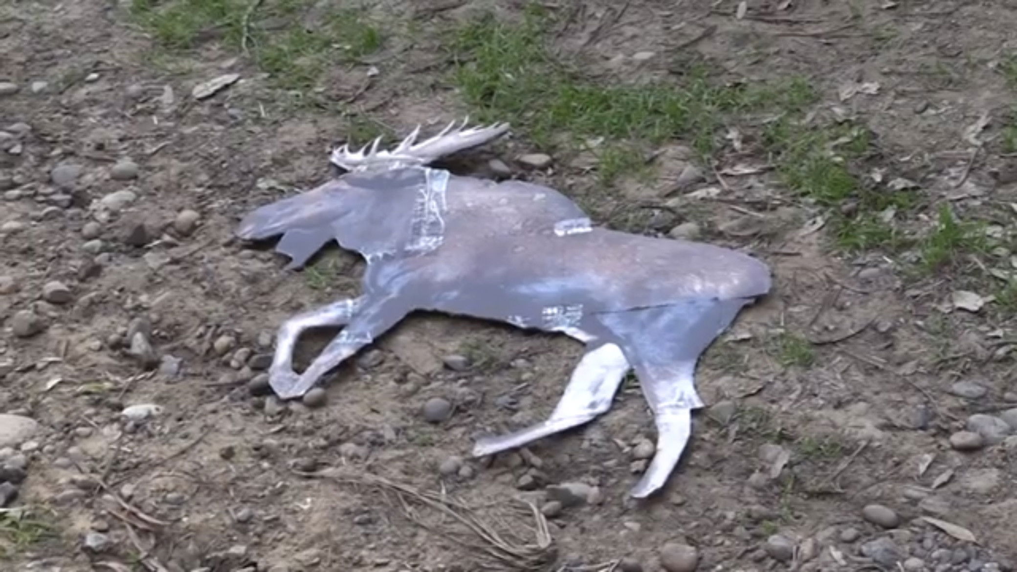 Backdrop for ARGYLE JENKINS: INTERNATIONAL MOOSE CATCHER