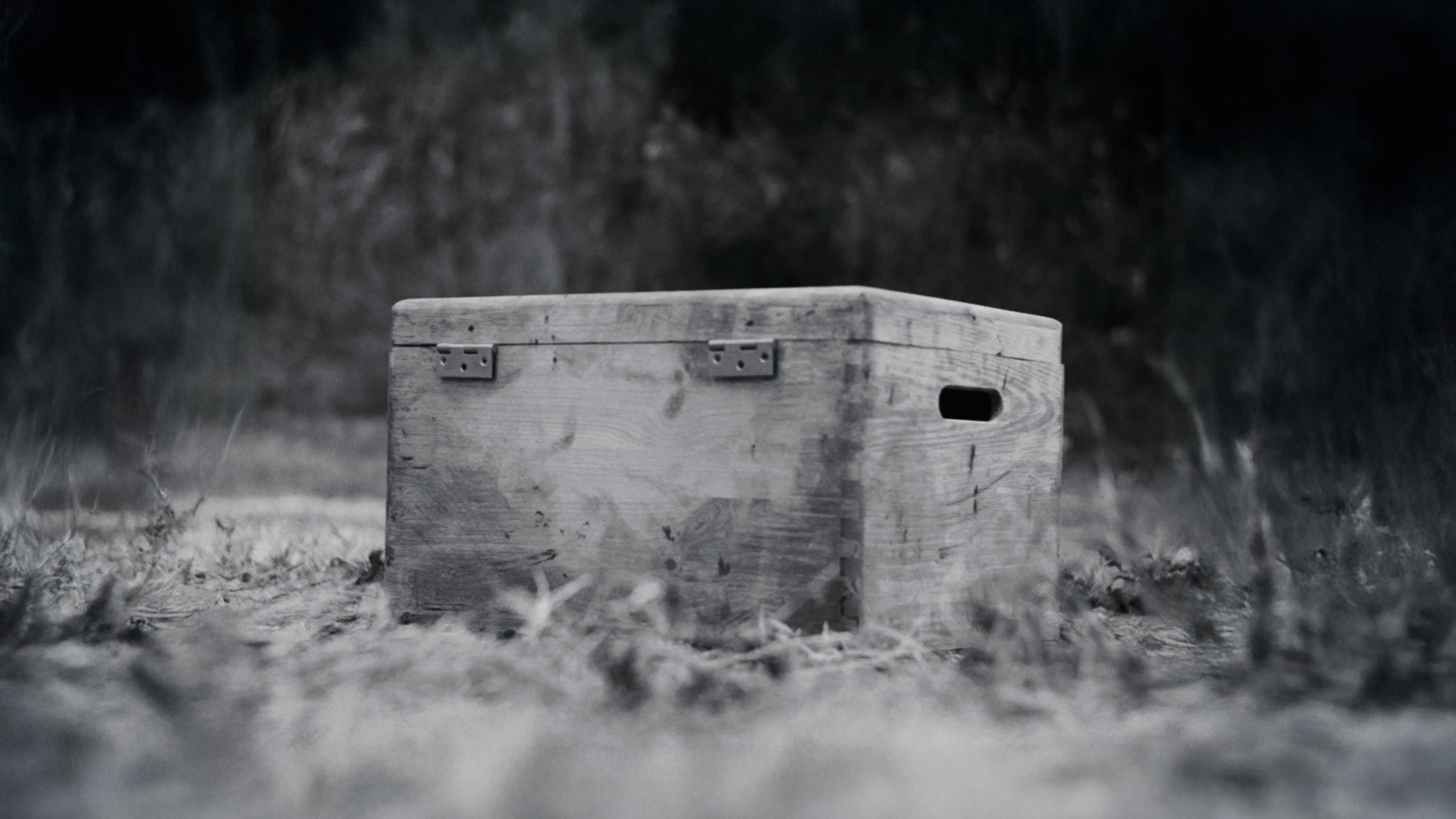 Backdrop for Pesa un Pes