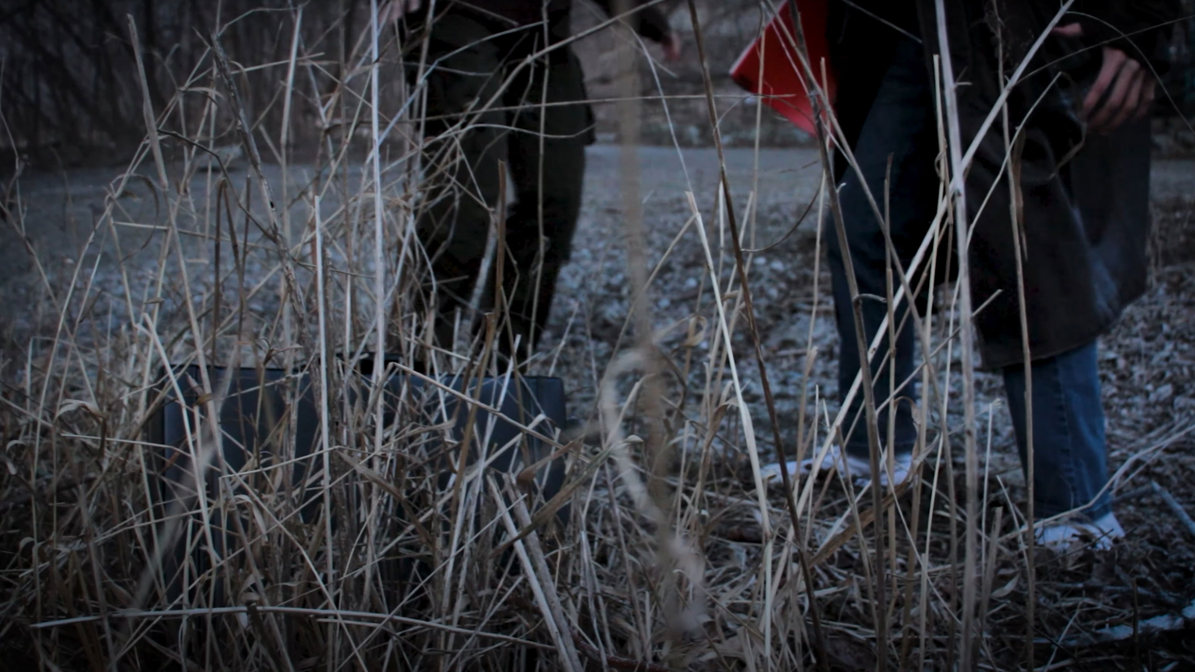 Backdrop for The Mysteriously Mystifying Case of the Embezzlement of Government Funds