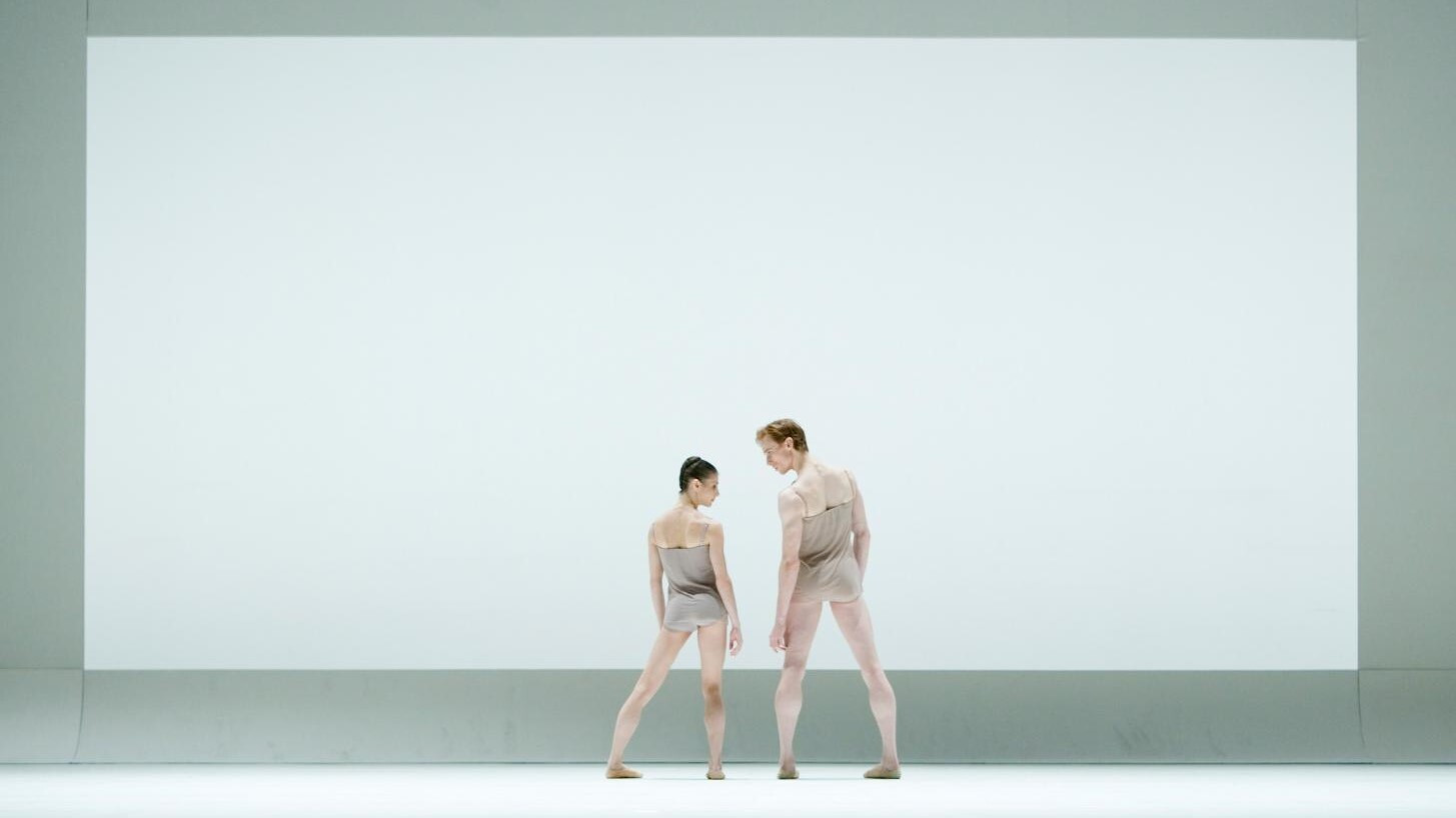 Backdrop for McGregor: Chroma / Infra / Limen