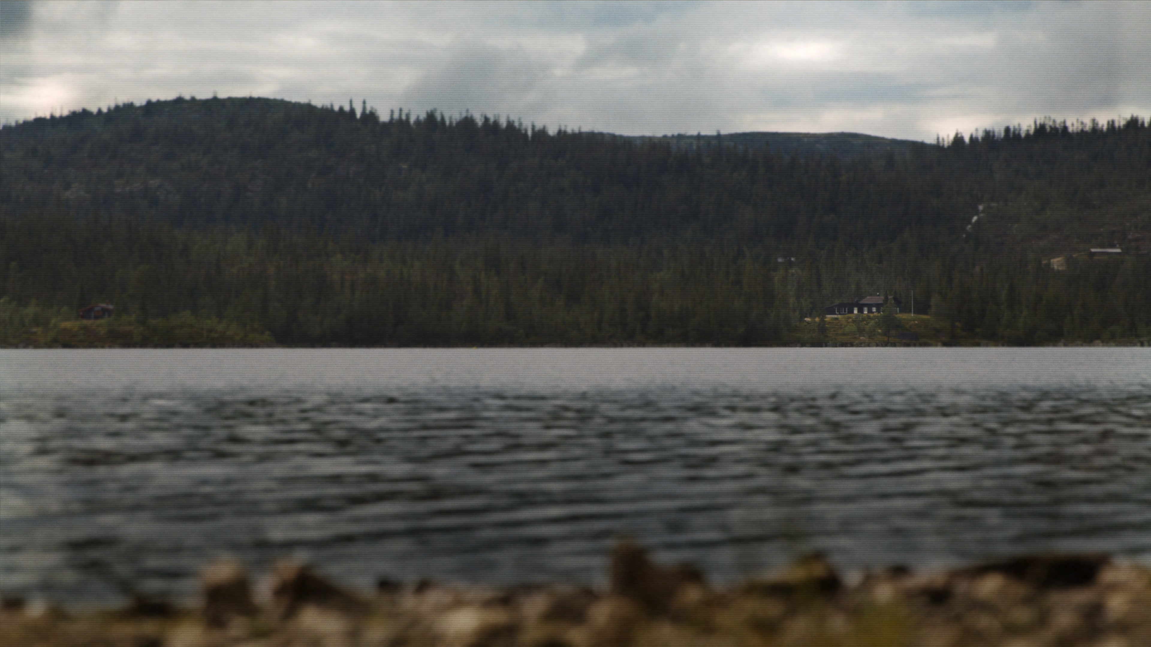 Backdrop for Lake Sunshine 1989